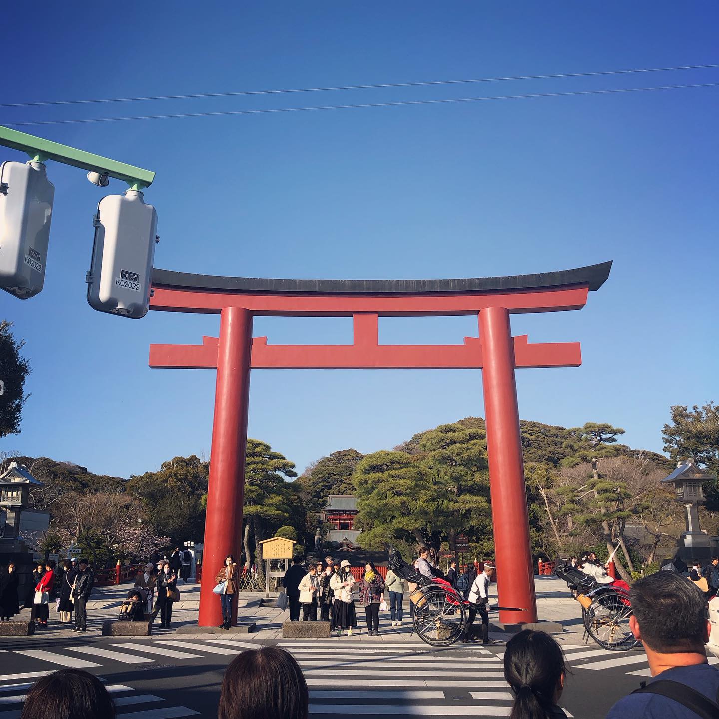 鶴岡八幡宮